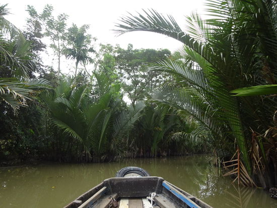 Bootsfahrt durch die Seitenarme des Mekong im Delta bei Can Tho