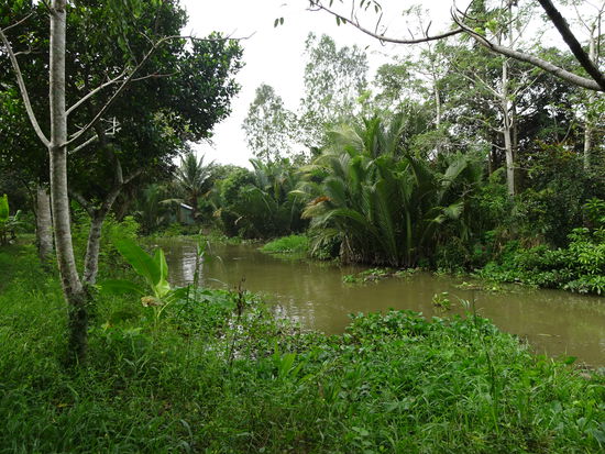 Bootsfahrt durch die Seitenarme des Mekong im Delta bei Can Tho