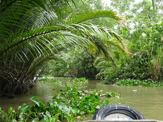 Bootsfahrt durch die Seitenarme des Mekong im Delta bei Can Tho