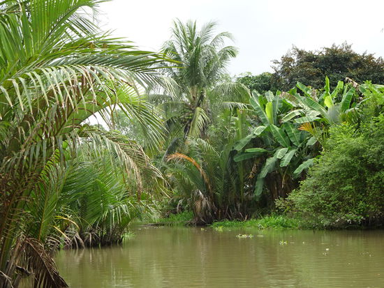 Bootsfahrt durch die Seitenarme des Mekong im Delta bei Can Tho