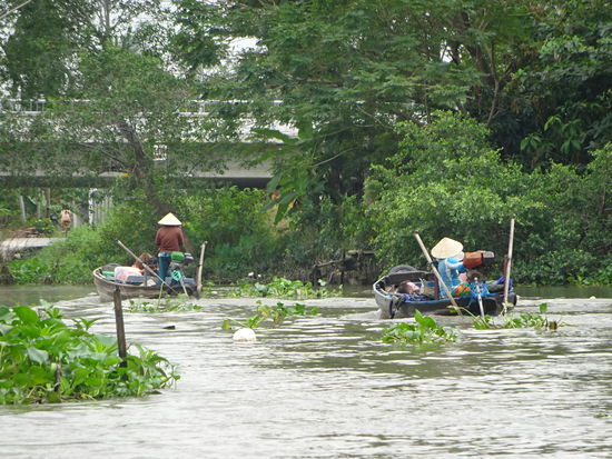 Bootsfahrt durch die Seitenarme des Mekong im Delta bei Can Tho