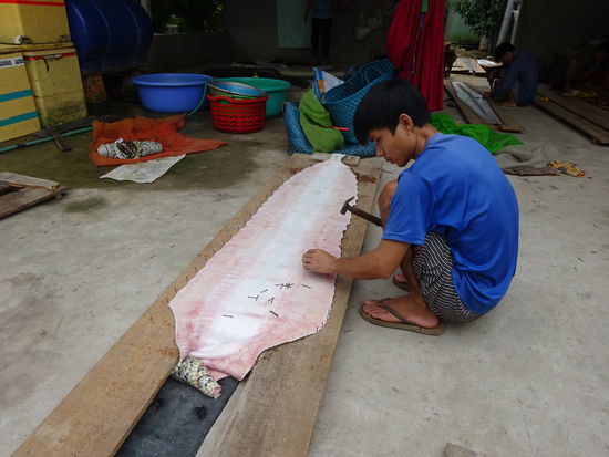 Die Häute der Schlangen werden für den Bootsbau verwendet