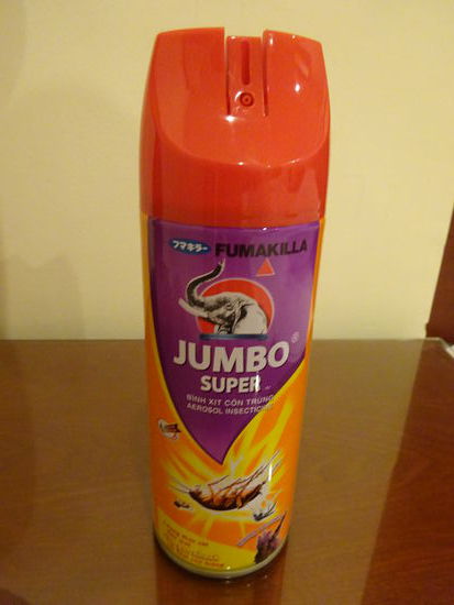 Das konnte man im Mekong Delta ganz gut gebrauchen