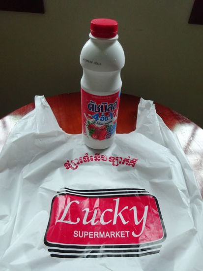 Joghurt Drink aus dem Supermarkt um die Ecke für stattliche 2 USD