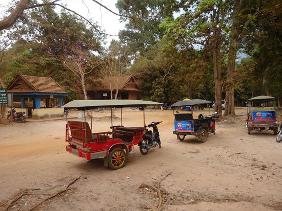 Nach ca. 50 Minuten erreichte ich Sambor Prei Kuk