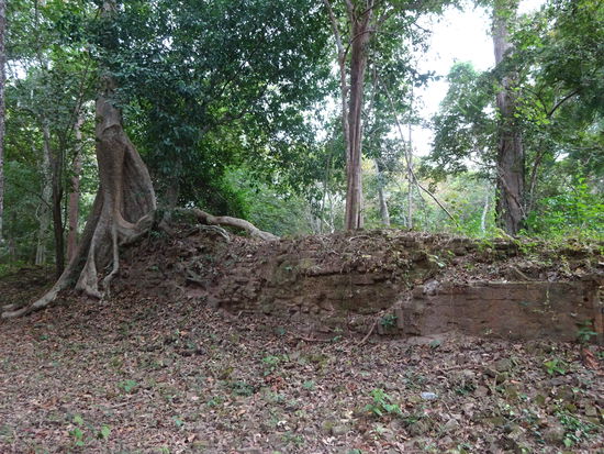 Die Südgruppe von Sambor Prei Kuk