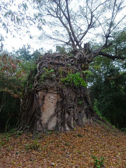 Es geht wieder zurück zum Ausgang wo mein Tuk Tuk Fahrer schon ganz besorgt wartet 
