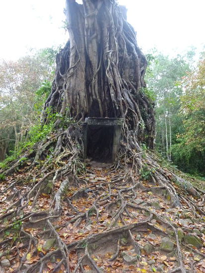Es geht wieder zurück zum Ausgang wo mein Tuk Tuk Fahrer schon ganz besorgt wartet 