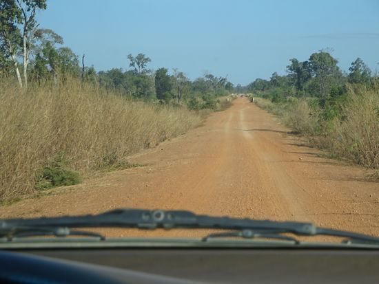 Weiter geht es auf Schotterpisten Richtung Preah Khan