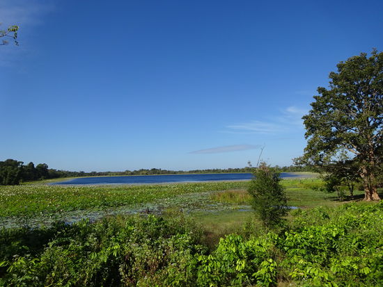 Nach mehr als 3 Stunden Fahrt habe ich mein Ziel fast erreicht
