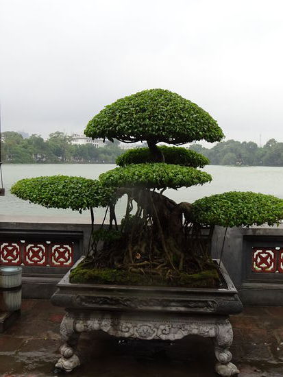 Blick auf den Hoan Kiem See