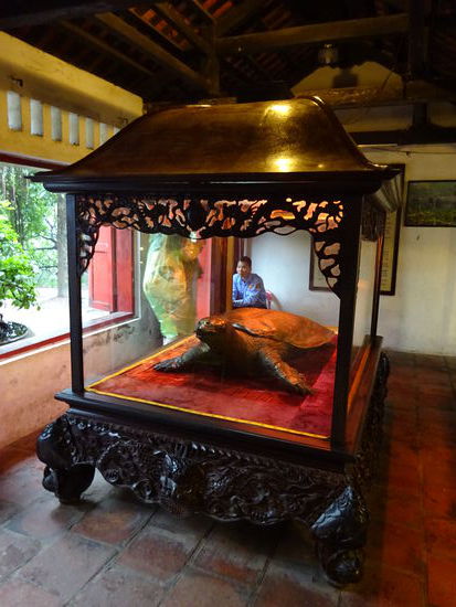 Die 400 Jahre alte heilige Schildkröte im Jadeberg Tempel