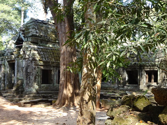 Die buddhistische Klosteranlage Ta Prohm in Angkor aus dem 12. Jh.
