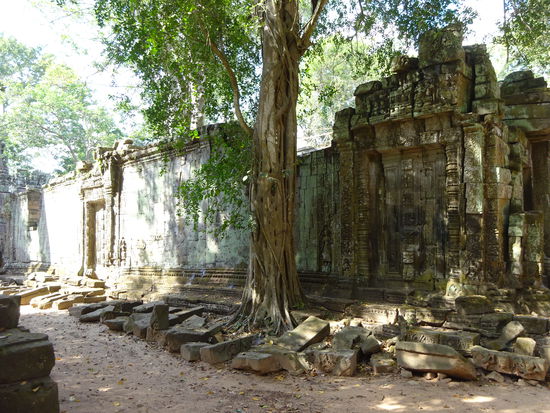 Die buddhistische Klosteranlage Ta Prohm in Angkor aus dem 12. Jh.