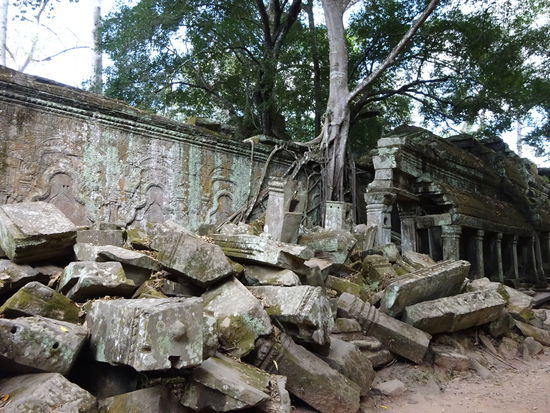 Die buddhistische Klosteranlage Ta Prohm in Angkor aus dem 12. Jh.