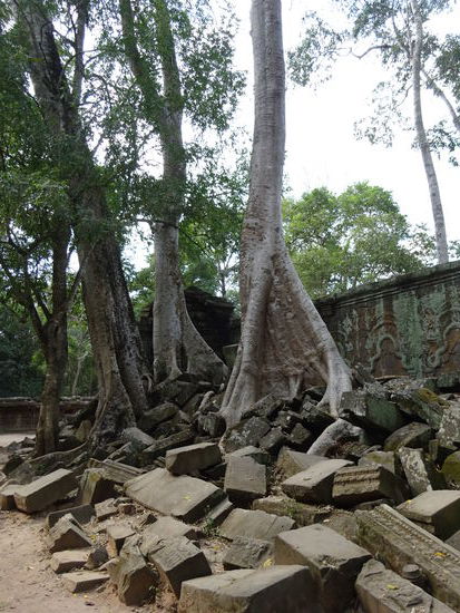 Die buddhistische Klosteranlage Ta Prohm in Angkor aus dem 12. Jh.