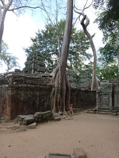 Die buddhistische Klosteranlage Ta Prohm in Angkor aus dem 12. Jh.