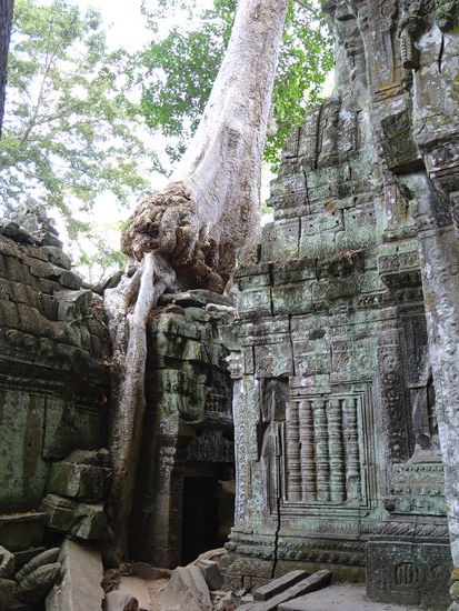 Die buddhistische Klosteranlage Ta Prohm in Angkor aus dem 12. Jh.