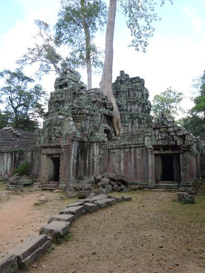 Die buddhistische Klosteranlage Ta Prohm in Angkor aus dem 12. Jh.