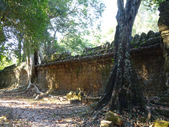Auf dem Weg zum Preah Khan Tempel in Angkor