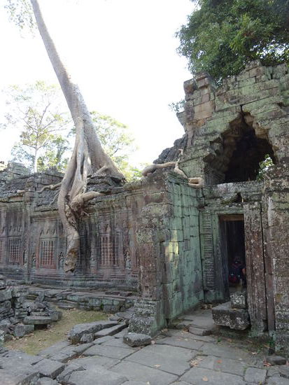 Buddhistischer Tempel Preah Khan in Angkor aus dem 12. Jh.