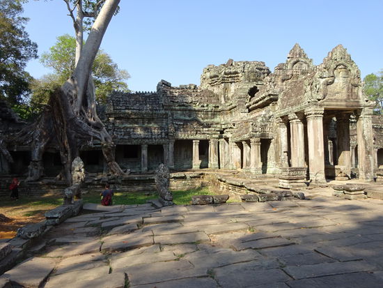Buddhistischer Tempel Preah Khan in Angkor aus dem 12. Jh.