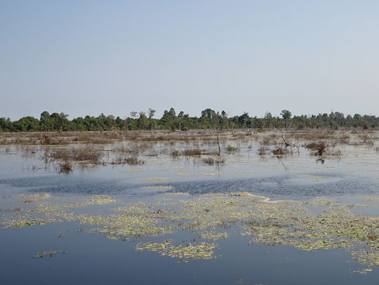 See am Ausgang des buddhistischen Tempel Preah Khan in Angkor aus dem 12. Jh.