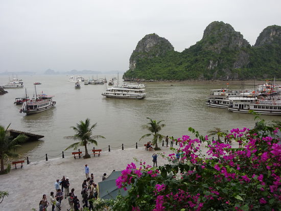 Blick auf die Bucht vor der Dong Thien Cung Höhle