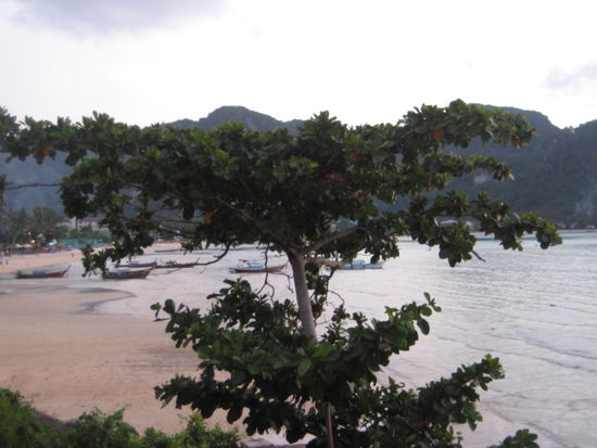 Ausblick von der Mojito Bar