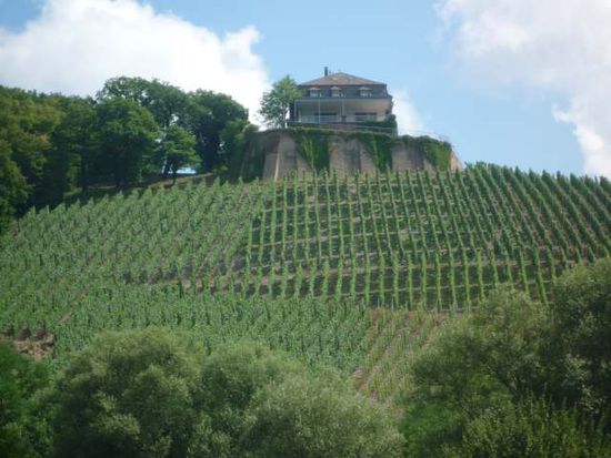 Weinberge an der Saar