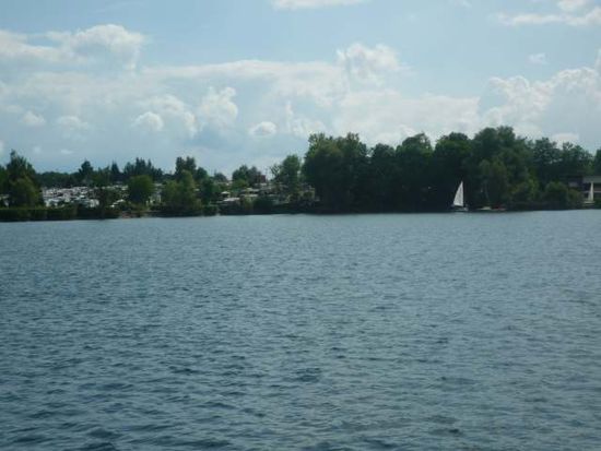 Der Etang de Mittersheim - ein Ausschnitt