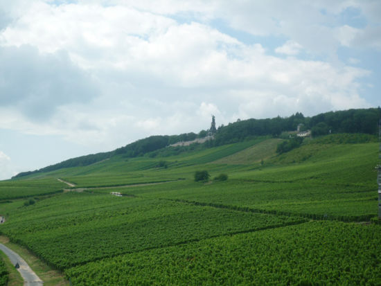 Blick von der Gondelbahn
