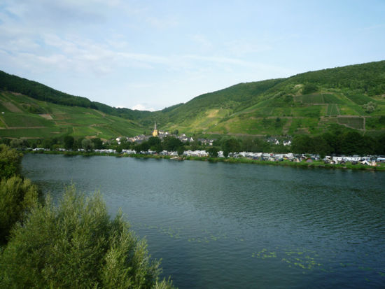Sennfeld mit dem Campingplatz "Holländischer Hof"
Überhaupt, die Campingplatzdichte im Moseltal ist wahnsinnig hoch!