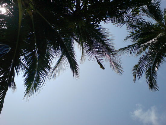 Blick von der Liege in den Himmel