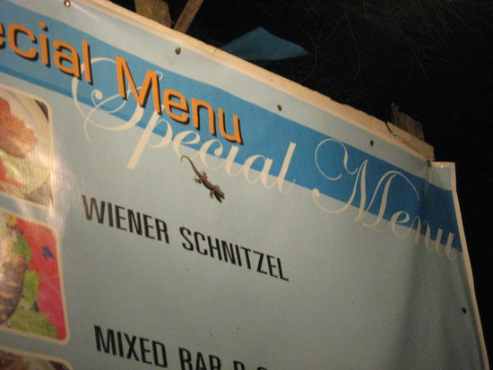 Ob es diesen Gecko wohl als Topping zum Gericht gibt...