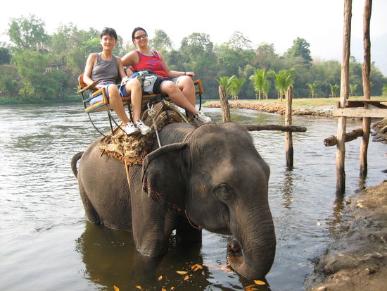 Todesmutig reiten wir den Elefanten!
