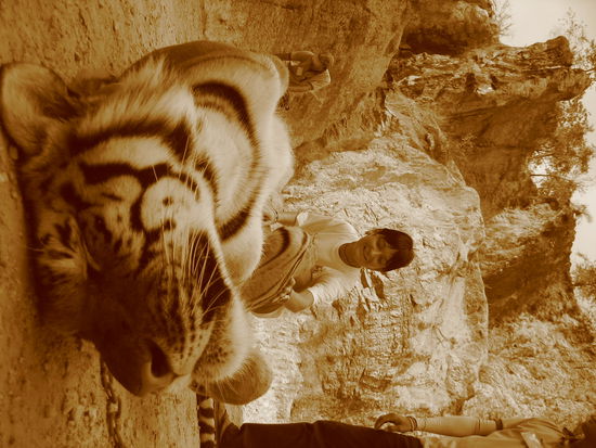 Im Angesicht der Bestie!