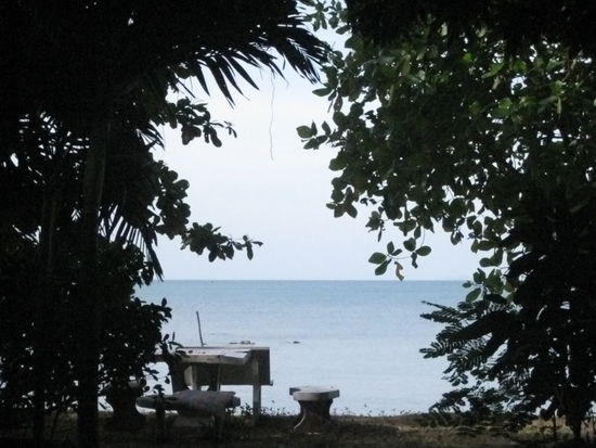 Der neue Blick aus unserer Haengematte