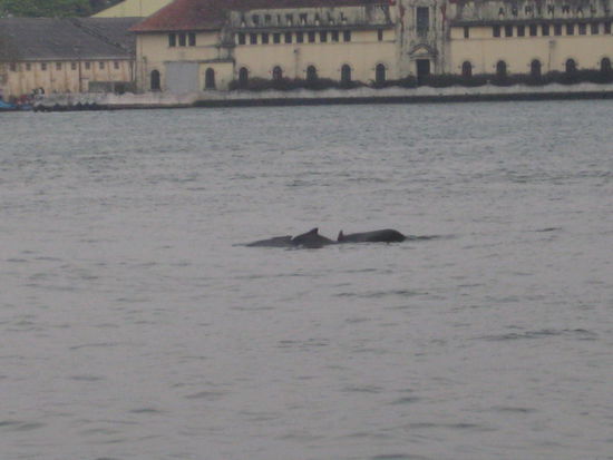 Auf dem Bild wirkt das alles nicht so ausergewoehnlich wie es in Wirklichkeit war.