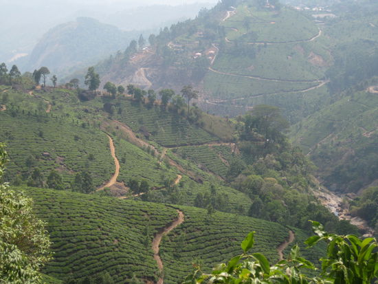 So kann man sehr gut aufwachen