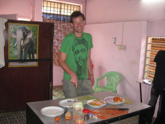 Wie der Elefant im Porzellanladen