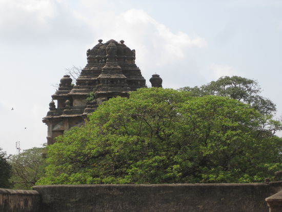 Gugguseli wo bist du?