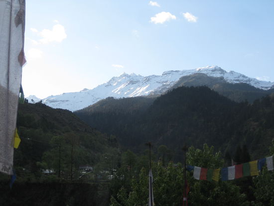 Ist das nicht ein schoener Anblick?!