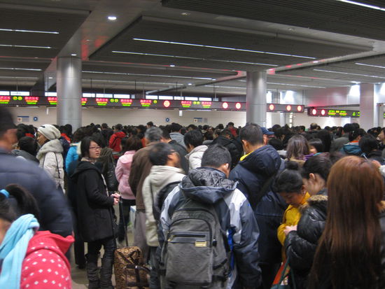 Die Schlange am Zoll