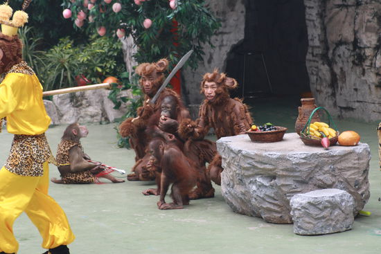 Die Chinesen machen sich gerne zum Affen