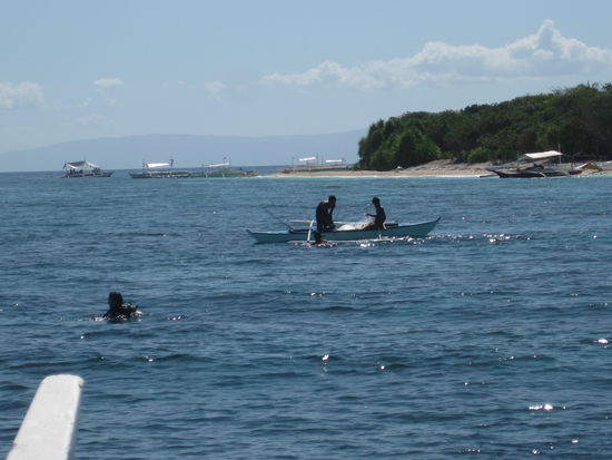 Da taucht er wieder auf