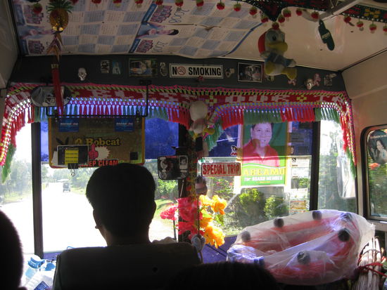 So lustig und voll behangen mit Krimskrams sehen sie meistens von innen aus.