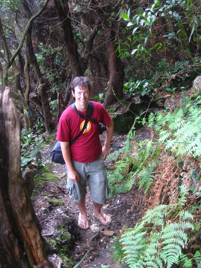 Mit Flipflops durch den Dschungel