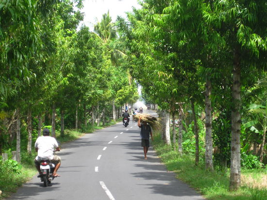 Die gemuetlichen Landstrassen von Bali