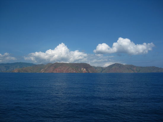 Die Komodos beim vorbei fahren